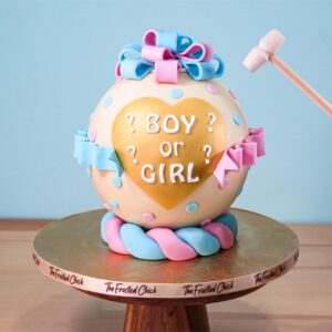 Boy or Girl Gender Reveal Piñata