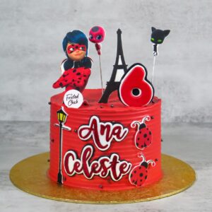 Miraculous Ladybug Inspired Cake