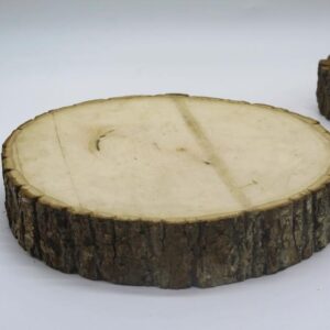 Wooden Stump (Medium)